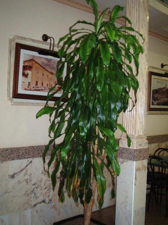 Hotel Los Hermanos Ocaña Dış mekan fotoğraf